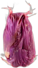 Solomillo de Pato 550 g