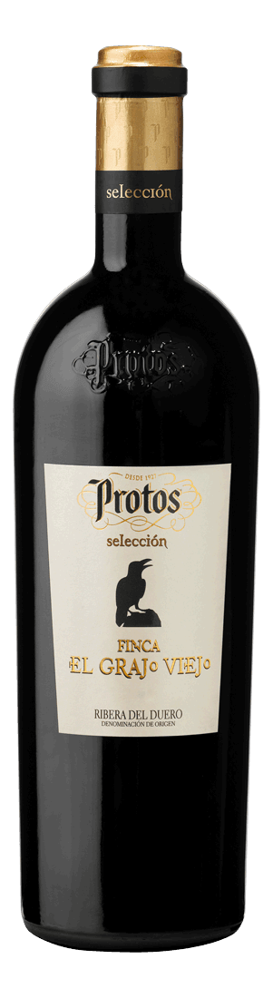 Finca el Grajo Viejo